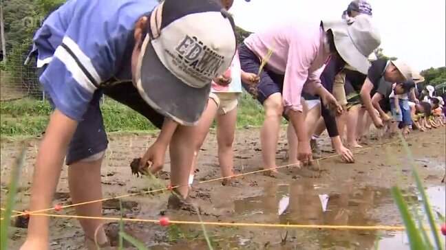里山の風景をよみがえらせよう 美郷町北郷で耕作放棄地を活用した田植えイベント|TBS NEWS DIG