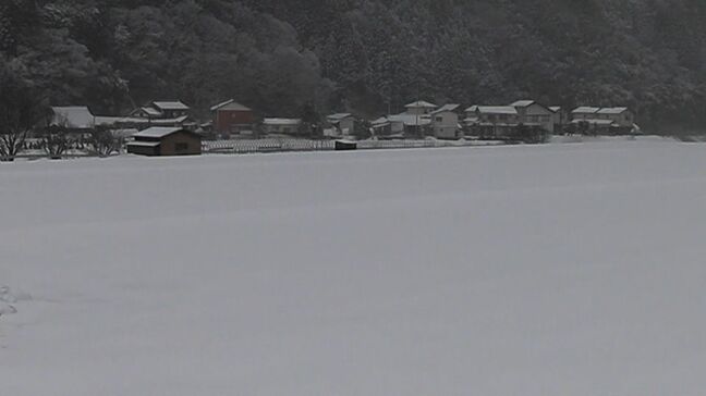 【最強寒波】あす21日朝の最低気温は津山でマイナス3℃、岡山でマイナス2℃、高松でマイナス2℃の予想　雪や路面の凍結に注意　|TBS NEWS DIG
