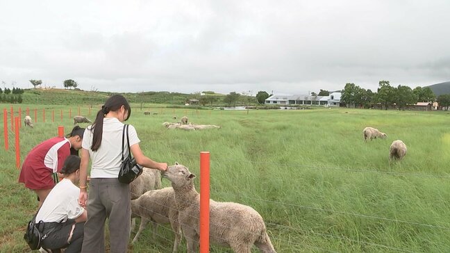 高原の観光牧場「ヌークジュー」リニューアルオープン　大分|TBS NEWS DIG