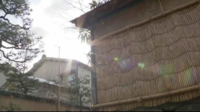 金沢・冬の風物詩「薦」（こも）役目もあと少し 寒さ和らぎ、梅咲き始める|TBS NEWS DIG