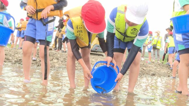 小学生が近くの川にアユ2000匹放流「いつまでも自然豊かな大野川に」 大分|TBS NEWS DIG