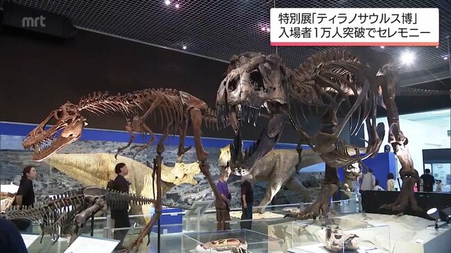 全長12mの骨格標本などが人気　宮崎県総合博物館の「ティラノサウルス博」　入場者10,000人突破|TBS NEWS DIG