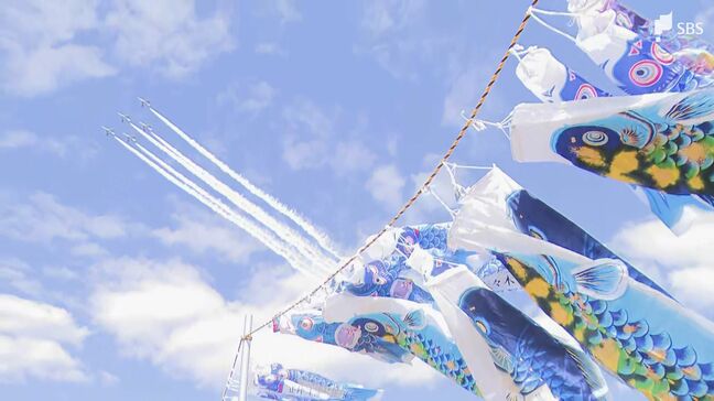 「寂しくないように」5歳で亡くなった弟へ 兄が掲げ続けた空に泳ぐ“青い鯉のぼり” 15年の軌跡と未来|TBS NEWS DIG