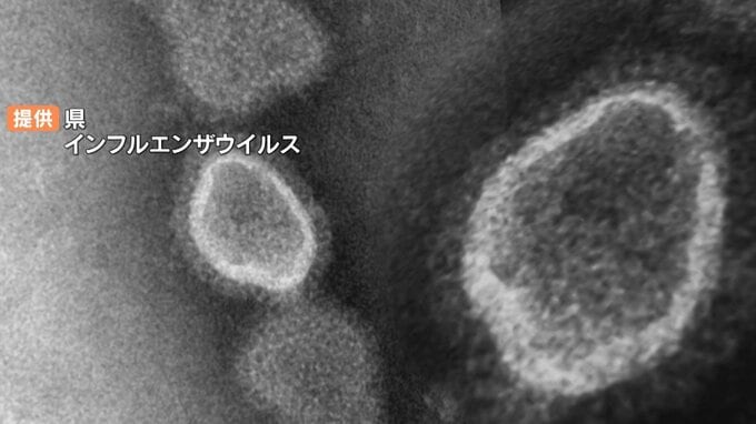 インフルエンザの感染広がり注意報発表　患者数は778人で前週から2倍近く増加　大分　|　大分のニュース｜OBS NEWS｜大分放送