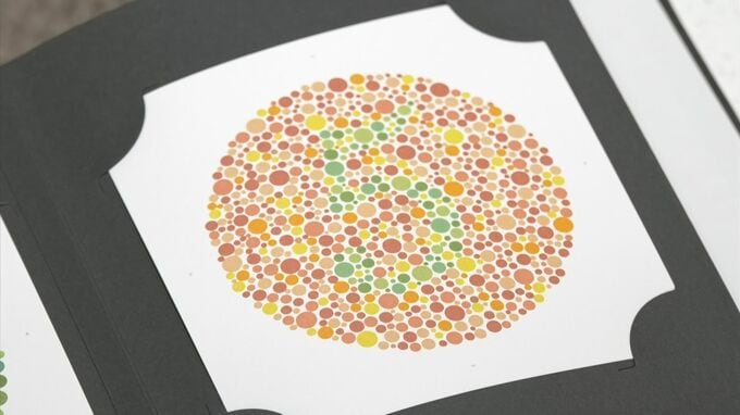 数字は見える？日本人男性20人に1人が「色覚異常」…「牛肉が焼けていく色調変化がわかりにくい」「青が白に見える」　なぜ色が他人と違って見えるのか|TBS NEWS DIG
