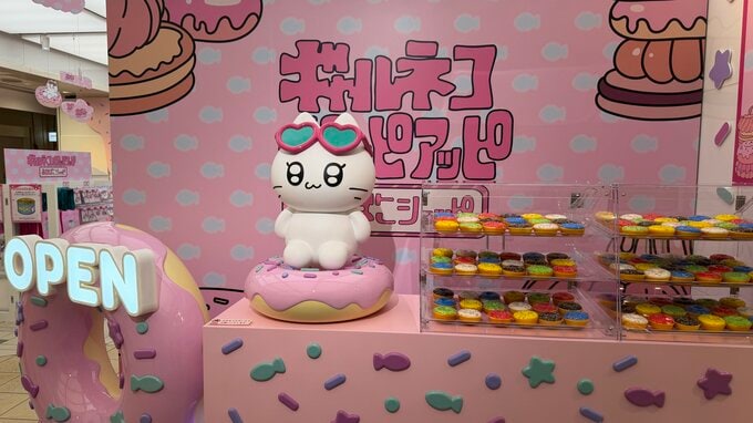【今話題】ギャルに憧れるネコ「ギャルネコ」のポップアップ開催　開店3時間前に並ぶファンも|TBS NEWS DIG