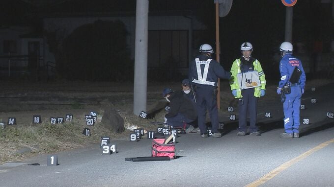 「間違いない」群馬県伊勢崎市で79歳男性が死亡したひき逃げ事件　25歳の会社員の男を逮捕　車は事件後に修理に出される　警察が詳しい経緯を捜査|TBS NEWS DIG