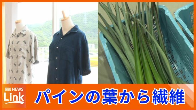 パインから繊維を作る工場が完成　大宜味村|TBS NEWS DIG