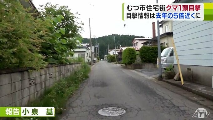 青森県むつ市で「クマ」の目撃情報相次ぐ　2023年の同時期と比べ“5倍近く”に…　目撃現場近くの保育園では屋外での活動を“全て中止”に「早く戸締りをしないと」　|　青森のニュース│ATV NEWS│青森テレビ