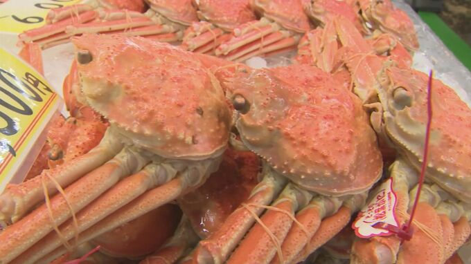 「例年11月20日を境に値段が急変」日本海の冬の味覚の王様「松葉がに」　気になる価格は？買い時はいつ？　|　BSSニュース | BSS山陰放送