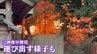 ｢空き家から火｣との情報も 三重･伊勢神宮近くの商店街火災 約半分は空き店舗 隣接する神社ではご神体や神具を運び出す様子も　|　名古屋・愛知・岐阜・三重のニュース【CBC news】 | CBC web