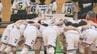 全国大会目指して熱戦 夏の全国小学生ドッジボール選手権石川県大会　|　石川県のニュース｜MRO北陸放送