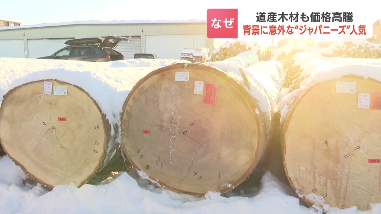 なぜ？丸太1本が460万円…北海道産「マカバ」に高値 国産材の高騰続く