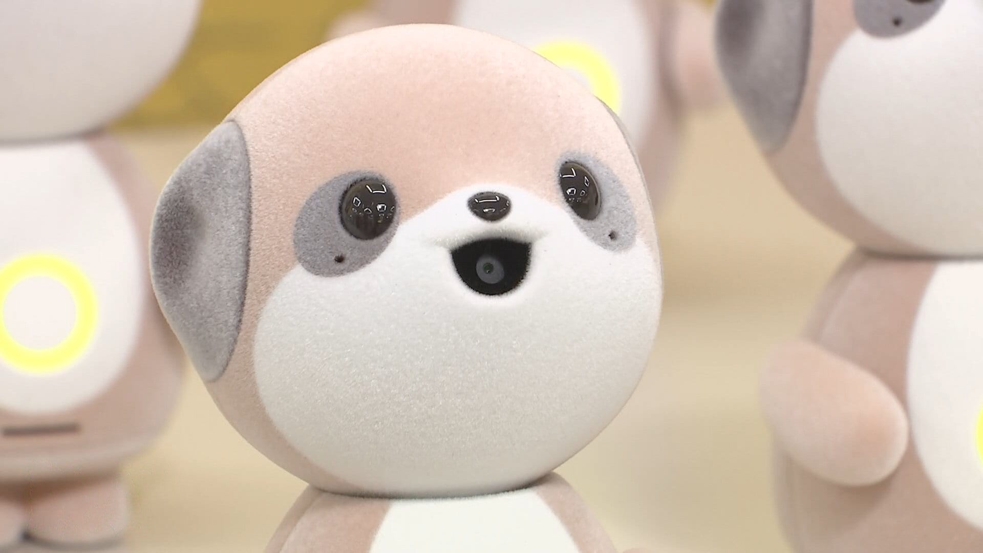 背景に”ぬい活”？AI搭載最新「ぬいぐるみ」ロボット シャープが