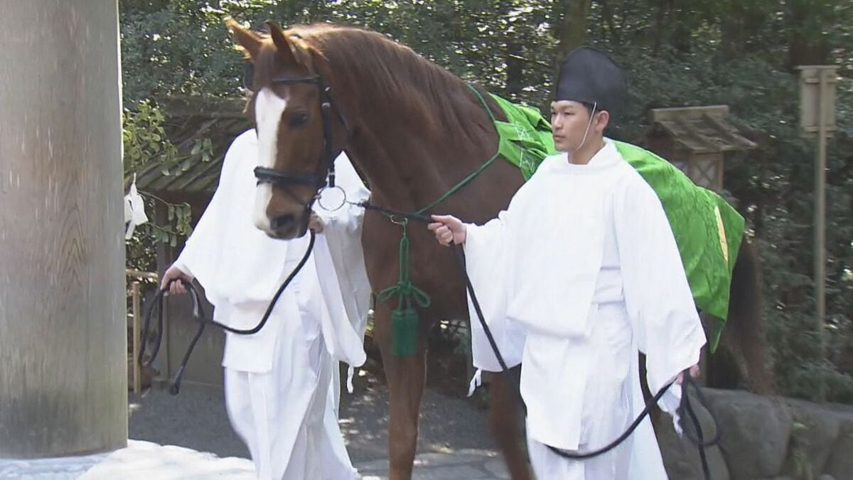 皇室から贈られた馬が神に仕える馬になるための儀式 伊勢神宮で｢御馬牽