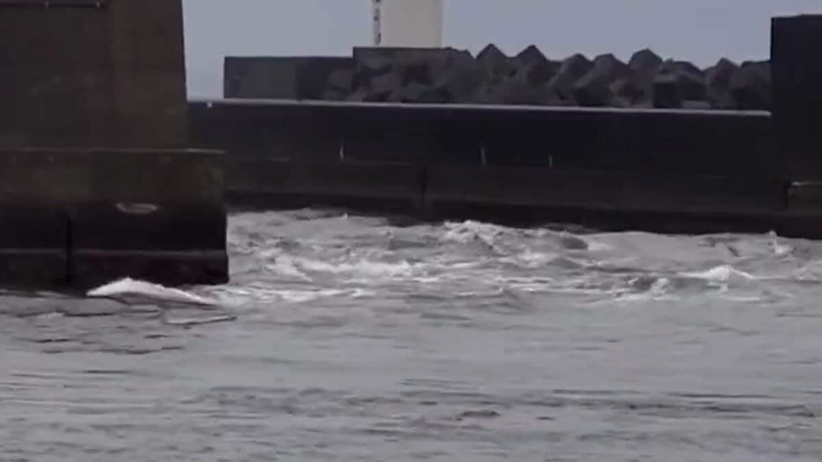 動画あり】津波か 港で白波立つ 「徐々に引き波、その後うねりが