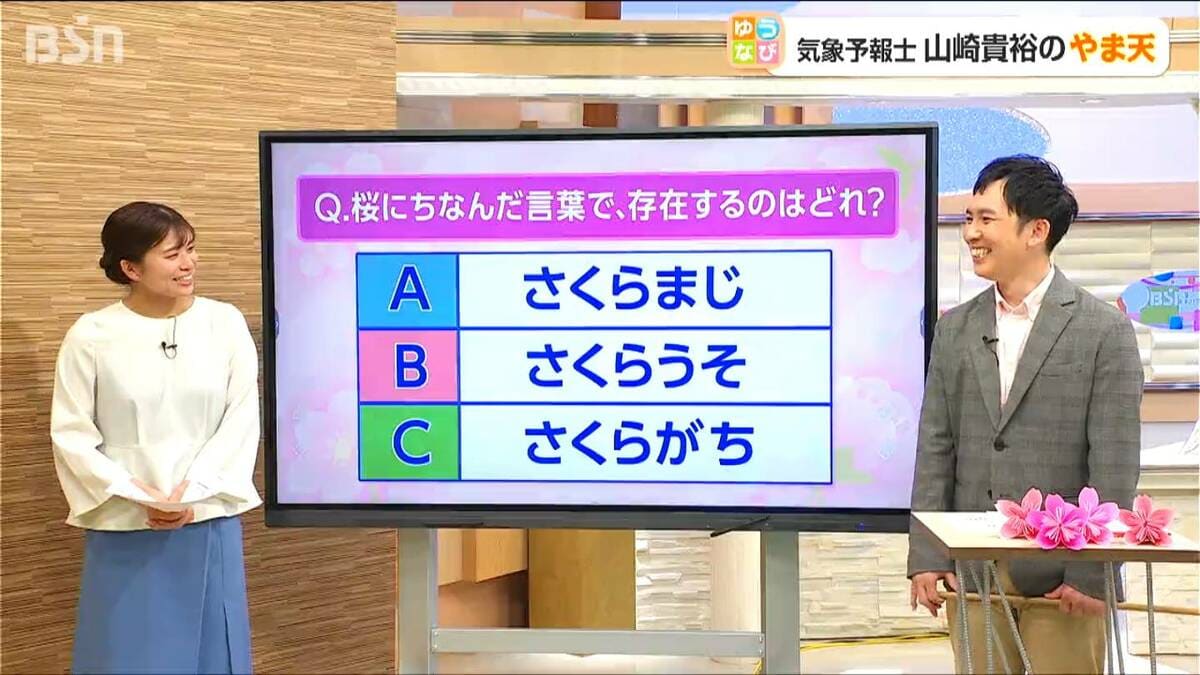 サムネイル_さくらまじ?【 新潟の雨・風 】新潟・信濃川の桜が満開!でも週末は“花散らしの雨”に? 10日(金)は午後ほど風が強くなる見込み【今後の雨と風のシミュレーション・8日午後7時現在】