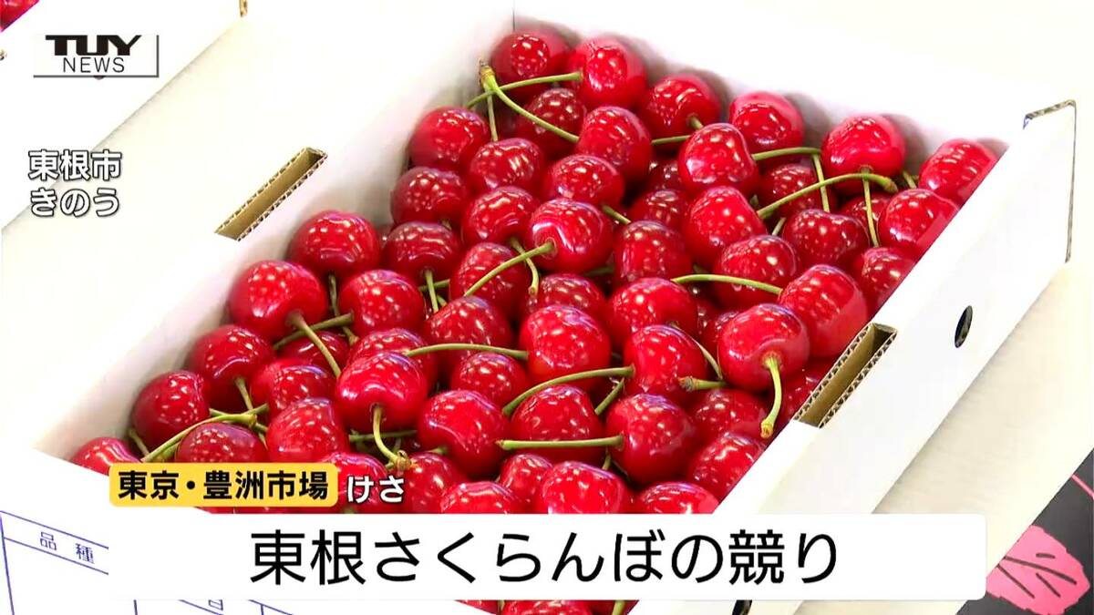 去年に続く過去最高額で落札 東根さくらんぼ 初競りで1キロ150万円