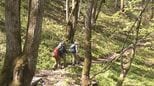 “乗鞍最後の秘境”五色ヶ原の森が山開き 例年より10日ほど早く 岐阜・高山市|TBS NEWS DIG