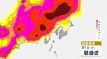 【東京首都圏】ゲリラ雷雨に注意 警報級大雨となる可能性も 予想雨量は?今後の雨風シミュレーション・発雷確率シミュレーション【気象庁21日発表】東京・神奈川・千葉・埼玉・茨城・栃木・群馬・山梨・長野|TBS NEWS DIG