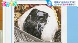 弁当のおにぎり「ラップで握ったまま」はNG?ブロッコリーにも注意!食中毒対策を専門家&管理栄養士がW解説【ひるおび】|TBS NEWS DIG