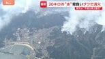 焼失面積1000ヘクタール超え…大槌町山林火災3日目も延焼続く「家が心配」|TBS NEWS DIG