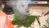 ”屋根や柱にすみついた害虫を追い出す”伝統の「煙いぶし」 宮城・白石市 | 宮城のニュース│tbc NEWS│tbc東北放送