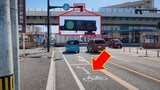 車両用信号が青でも進めない?自転車が交差点で見るべき信号と路面標示 警察に聞いてみると…|TBS NEWS DIG