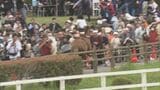 「倒されてそのまま馬乗りに…」相馬野馬追で馬が脱走、6人けが　市長「改善策を検討」福島・南相馬市|TBS NEWS DIG