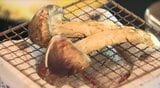 マツタケ小屋オープン!早くも秋の味覚の王様のシーズン到来「台風あっても期待できそう…」香りと歯ごたえを楽しむ姿焼きが一押し|TBS NEWS DIG