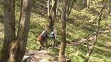 “乗鞍最後の秘境”五色ヶ原の森が山開き 例年より10日ほど早く 岐阜・高山市　|　名古屋・愛知・岐阜・三重のニュース【CBC news】 | CBC web