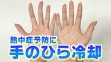 ４０℃超が続出…8月は猛暑の“ヤマ場”となるところも… 熱中症対策に効果的な「手のひら冷却」とは？専門家に聞いた【MBSお天気通信】|TBS NEWS DIG