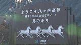 女性をターゲットに『馬のまち』として健康や食を生かしたリゾート地を目指す 北杜市の小淵沢エリア 有識者の検討委員会が報告 山梨 | 山梨のニュース | UTYテレビ山梨