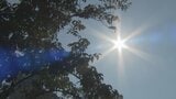 高岡市伏木が全国1位暑さ、37.0℃観測 最高気温は富山・伏木で38℃予想、9月としては観測史上記録的な暑さに 富山 | 富山のニュース|天気・防災|チューリップテレビ