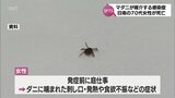 マダニが媒介する感染症「SFTS」に感染 日南市の70代女性が死亡 | MRTニュース | MRT宮崎放送