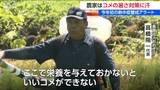 気温高すぎるとコメが栄養不足に　コメどころ 新潟・十日町市で35.1℃の猛暑日　農家が30キロの散布器背負い追肥作業|TBS NEWS DIG