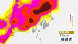 【東京首都圏】ゲリラ雷雨に注意 警報級大雨となる可能性も 予想雨量は?今後の雨風シミュレーション・発雷確率シミュレーション【気象庁21日発表】東京・神奈川・千葉・埼玉・茨城・栃木・群馬・山梨・長野|TBS NEWS DIG