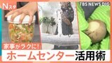 “ラク家事”グッズから“家庭菜園”の野菜の苗まで！ホームセンターの活用術を徹底調査！【それスタ】|TBS NEWS DIG