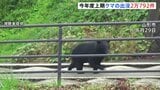 今年4月~9月のクマの出没件数2万792件 過去最多の年を大きく上回るペース クマによる死者は12人 環境省|TBS NEWS DIG