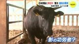 日米首脳会談に広島食材 ランチメニューに神石牛 ふくらむ産地の期待|TBS NEWS DIG
