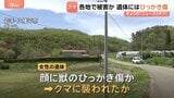 各地でクマ出没 岩手で女性遺体 クマに襲われたか 遺体に“ひっかき傷”　山形では男性が体長約1mのクマに襲われる　顔や体にケガも命に別状なし|TBS NEWS DIG