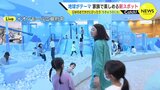 国内最長級のレールライダーに砂場　ハンバーガー屋さんなど “ごっこ遊び” も　自然をモチーフにしたテーマパークが広島に誕生　あす（26日）オープン　|　RCC NEWS | 広島ニュース | RCC中国放送