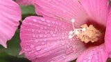 県内前線の影響で曇りや雨の天気　土砂災害・浸水に注意を　岩手　|　IBC NEWS | IBC岩手放送