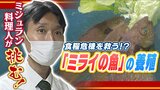 「野菜を食べる魚」が食糧危機を救う切り札に!?ミシュラン料理人たちが“ミライの魚の養殖”に挑戦『きれいな地球を次の世代に残していきたい』|TBS NEWS DIG