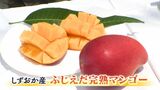 一口目から「幸せ」甘く濃厚 爽やかな酸味 夏の味覚「ふじえだ完熟マンゴー」【しずおか産】 | 静岡のニュース | SBSNEWS | 静岡放送