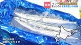 初物サンマ1匹「8万8880円」買ったのは地元企業役員「社員に頑張ってもらおうと」刺身で振る舞う　|TBS NEWS DIG