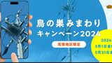 電柱にできた鳥の巣は停電の原因 見つけたら専用サイトから情報提供を 愛知・尾張地区で限定キャンペーン |TBS NEWS DIG