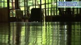 明治期の邸宅で「床緑」を楽しむ 盛岡市の南昌荘 県外からも観光客|TBS NEWS DIG