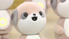 背景に”ぬい活”？AI搭載最新「ぬいぐるみ」ロボット　シャープが発表　カメラ搭載 “自由に会話”| TBS CROSS DIG with Bloomberg