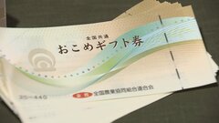 「おこめ券」などに使用期限設定へ　早期活用してもらう狙い| TBS CROSS DIG with Bloomberg